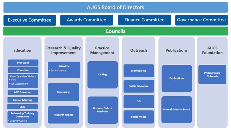 Councils and Committees